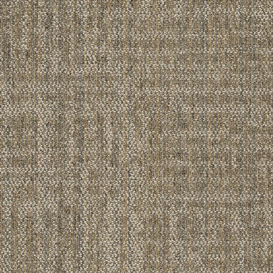 Raw Beauty in Astute Carpet Tile