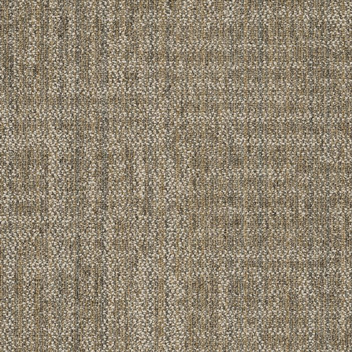 Raw Beauty in Astute Carpet Tile
