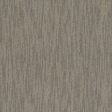 Dynamo