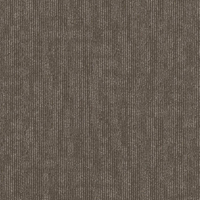 Semblance in Alliance Carpet Tile