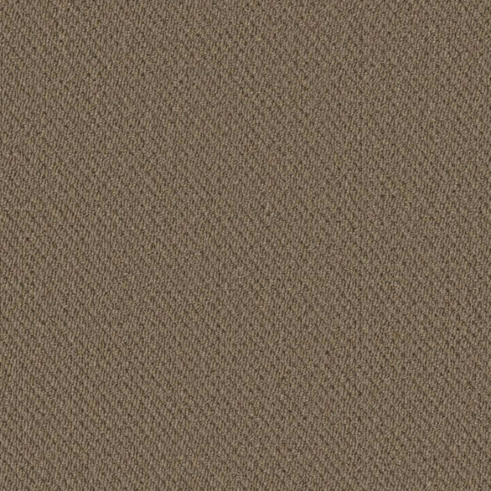 Prospect in Anticipate Carpet