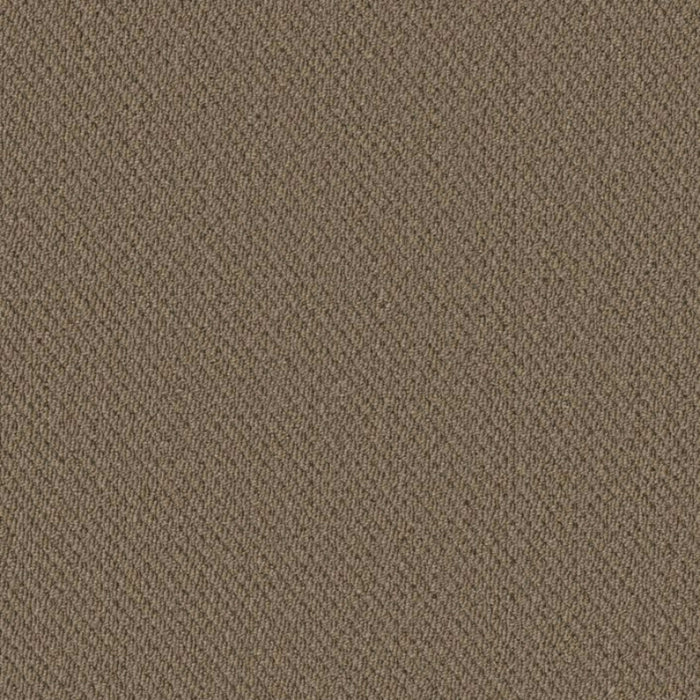 Prospect in Anticipate Carpet