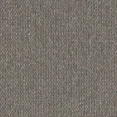 Prelude in Forerunner Carpet