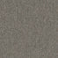 Prelude in Forerunner Carpet