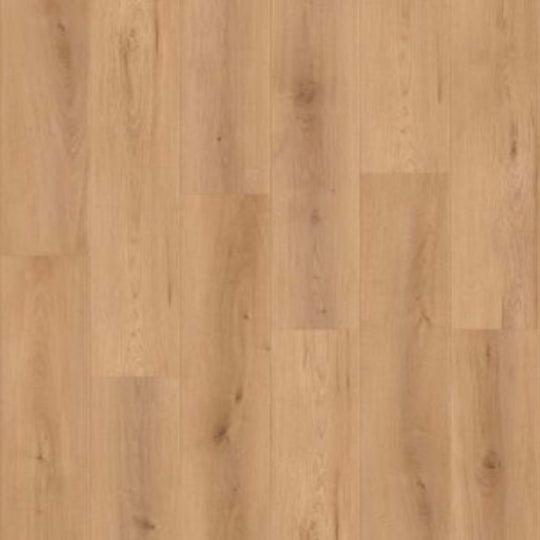 Canyon Coast in Sunset Vista