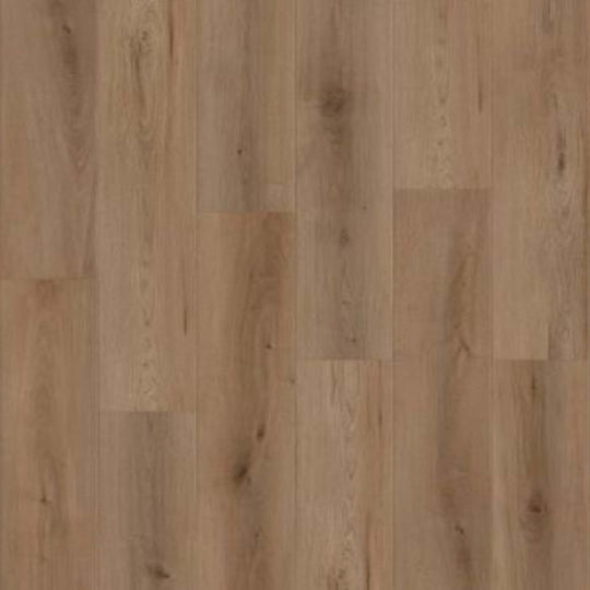 Canyon Coast in Alpine Ambiance