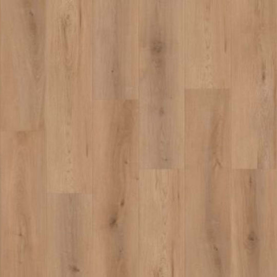 Canyon Coast in Everlasting Peaks