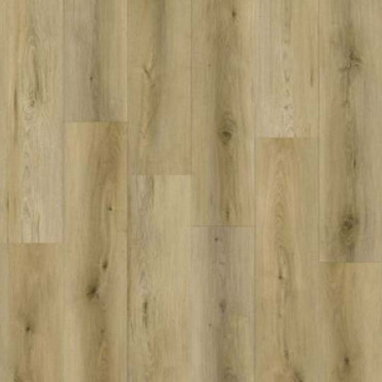 Canyon Coast in Mountain Mist