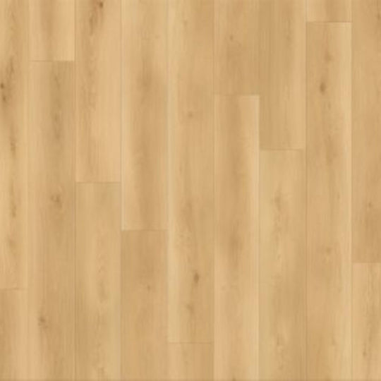 Canyon Coast in Summit Shoreline