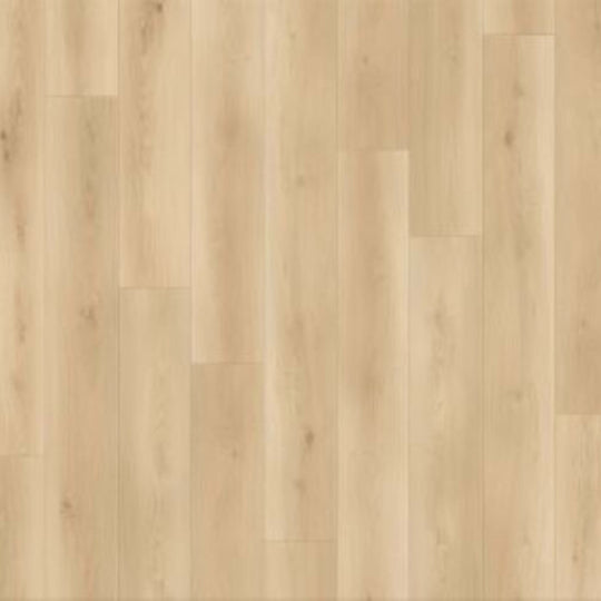 Canyon Coast in Wilderness Whispers