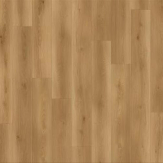 Canyon Coast in Altitude Trail