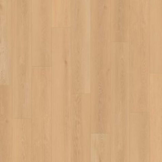 Seaside Summit in Seashell Radiance