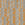 Clarity Orange