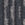 Distant Birch