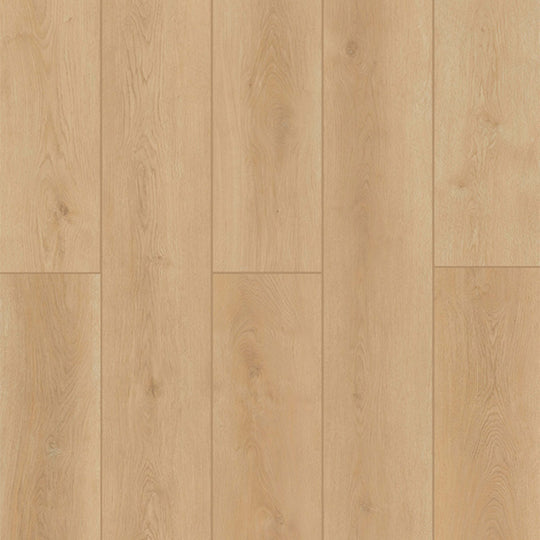 Indoor Delight in Country Breeze