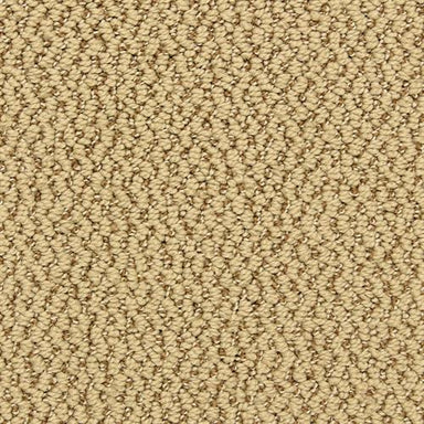 Much More in Attitude Carpet