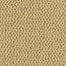 Much More in Attitude Carpet