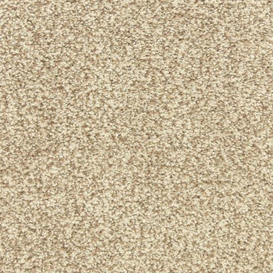 Morning Reflections in Acorn Carpet