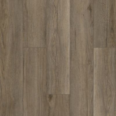 Discovery Ridge in Rustic Taupe