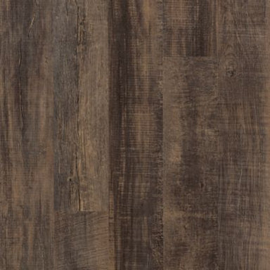 Discovery Ridge in Baywood Brown