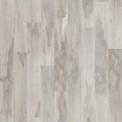 Explorer's Cove in Moon Shine