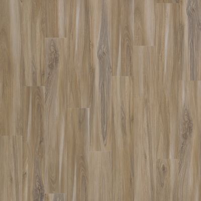 Explorer's Cove in Sandy Valley