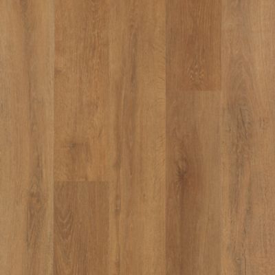 Explorer's Cove in Stormy Sands