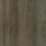 Founder's Trace in Burnt Sienna
