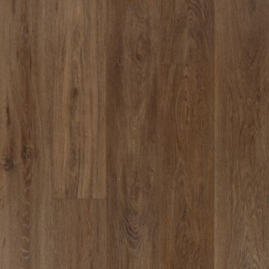 Founder's Trace in Pecan