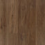 Founder's Trace in Pecan