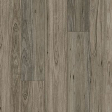 Treasured Grove in Graphite