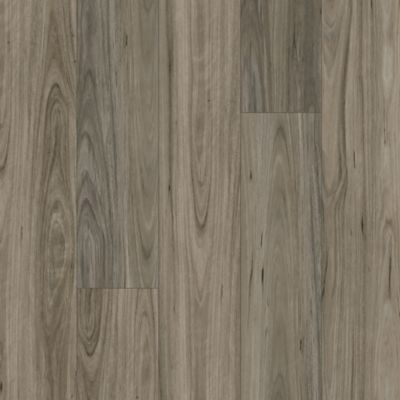 Treasured Grove in Graphite