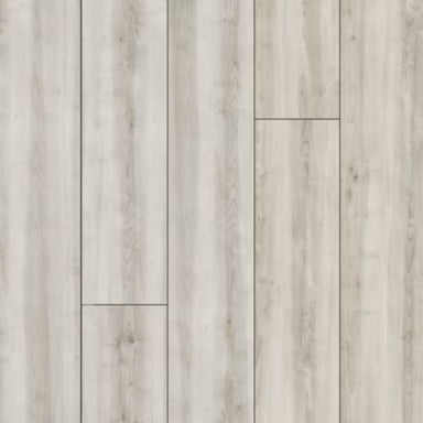 Treasured Grove in Iced