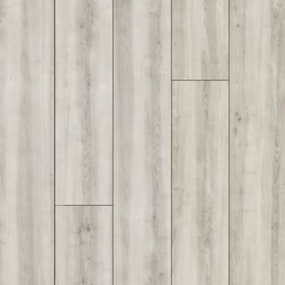 Treasured Grove in Iced