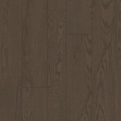 Refined Forest in Kona