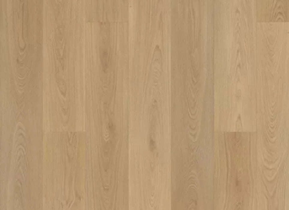 Summerhill Chase 9" in Primrose