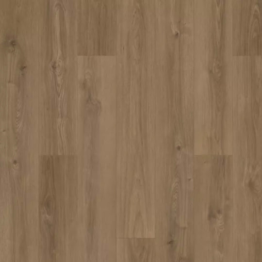 Windham Shores in Wren