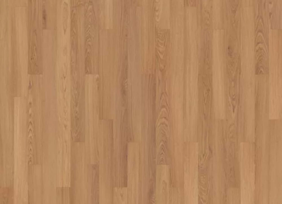 Summerhill Chase 3" in Baylor