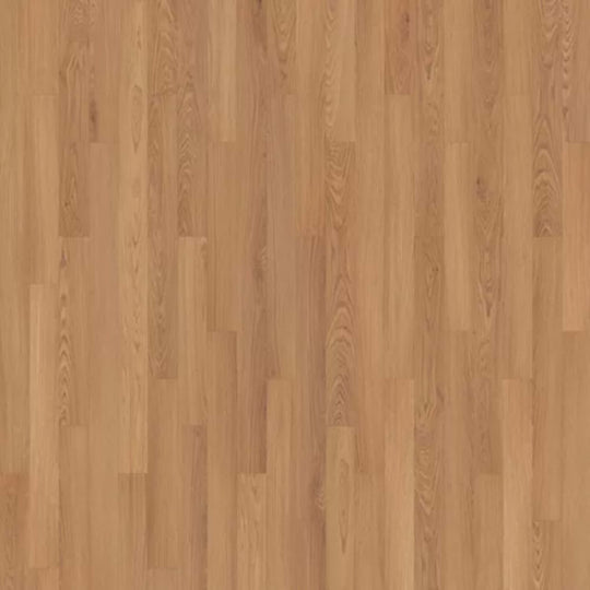 Summerhill Chase 3" in Baylor