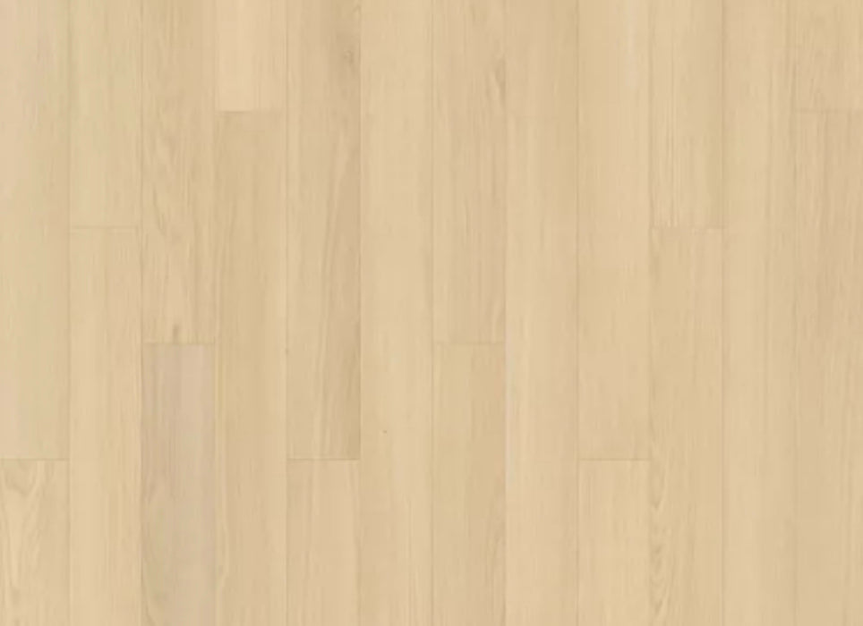 Summerhill Chase 5" in Wisteria