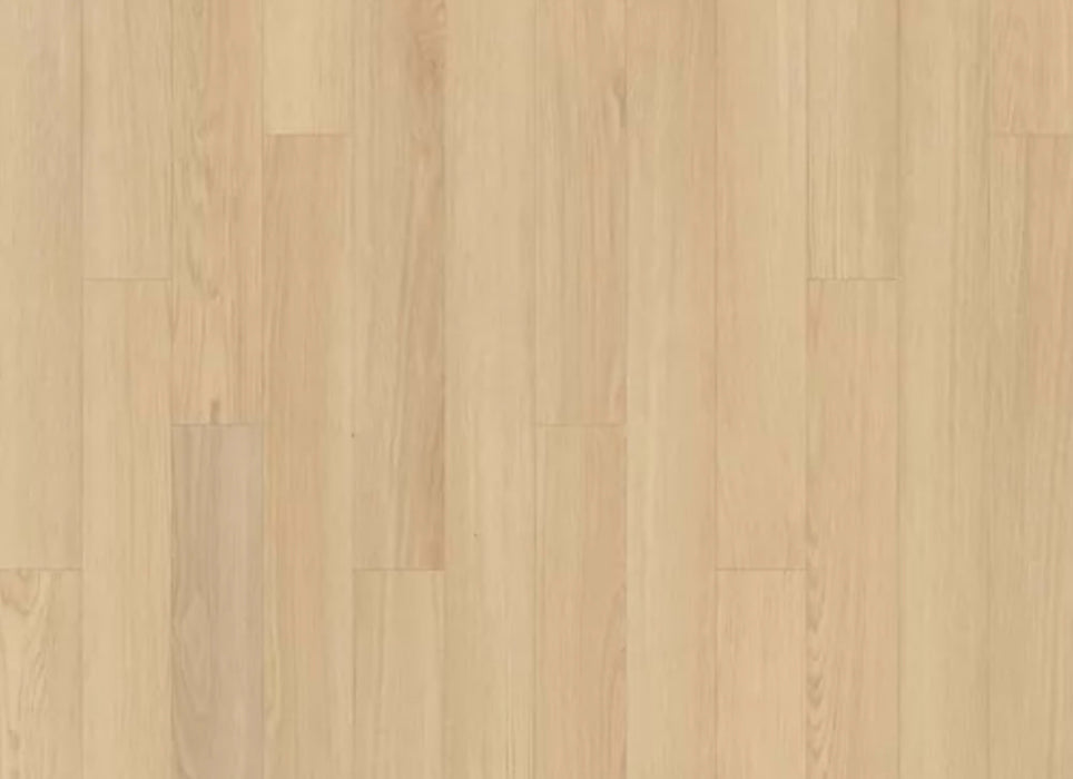 Summerhill Chase 5" in Primrose