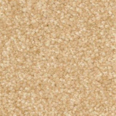 Paula  in Basketry Carpet