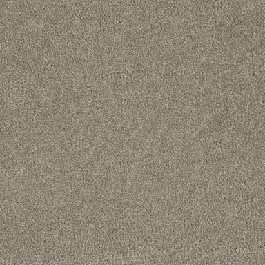 Luxor III in Brown 535 Carpet