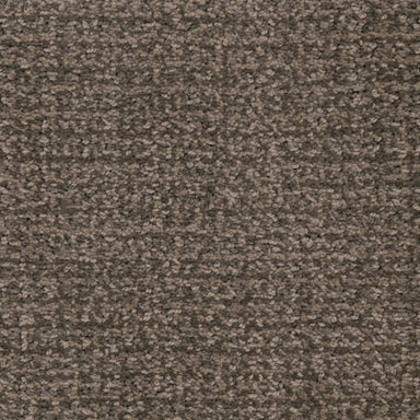 Pointer in Andy Warhowl Carpet
