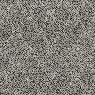 Persuasion  in Adrift Carpet