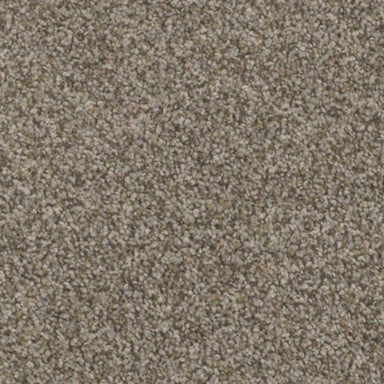 FloorEver PetPlus Carpet - Bari