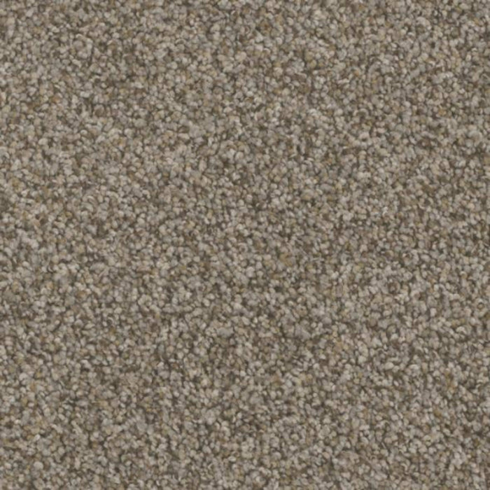 FloorEver PetPlus Carpet - Bari
