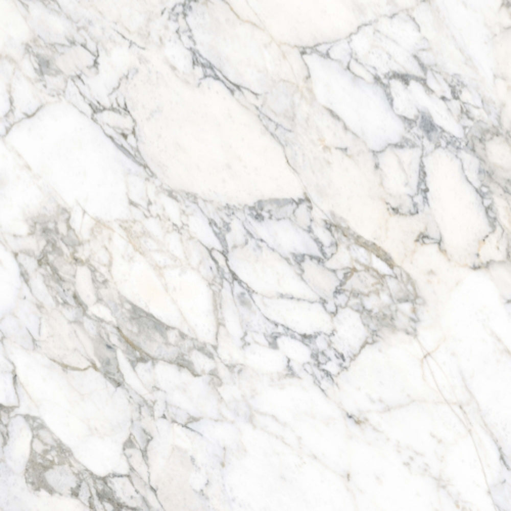 Expanse in Arabescato White 63" X 126" Polished Tile