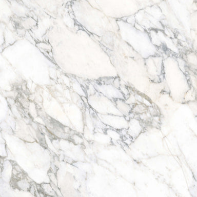 Expanse in Arabescato White 63" X 126" Polished Tile