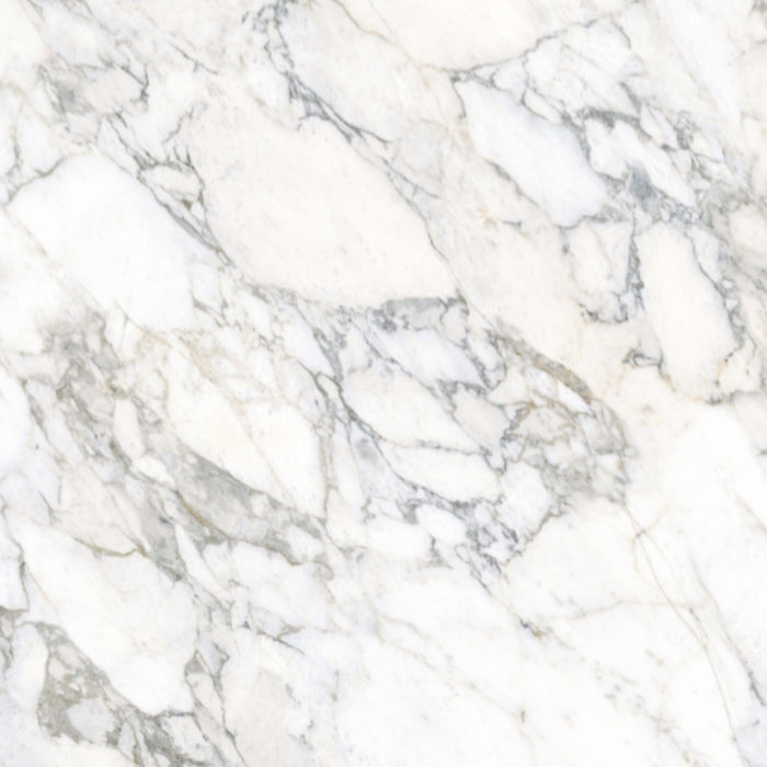 Expanse in Arabescato White 63" X 126" Polished Tile